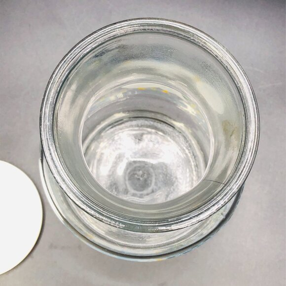 Vintage 1987 Anchor Hocking Blue Ribbon Goose Carafe: Farmhouse Glass Jug - Picture 5 of 11